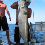 Fischen in Bocas del Toro, aber nur zum Eigenbedarf an Bord