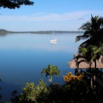 Dolphin Bay - Bocas del Toro