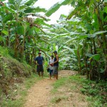 Wandern - Trekking - Natur - Bocas del Toro