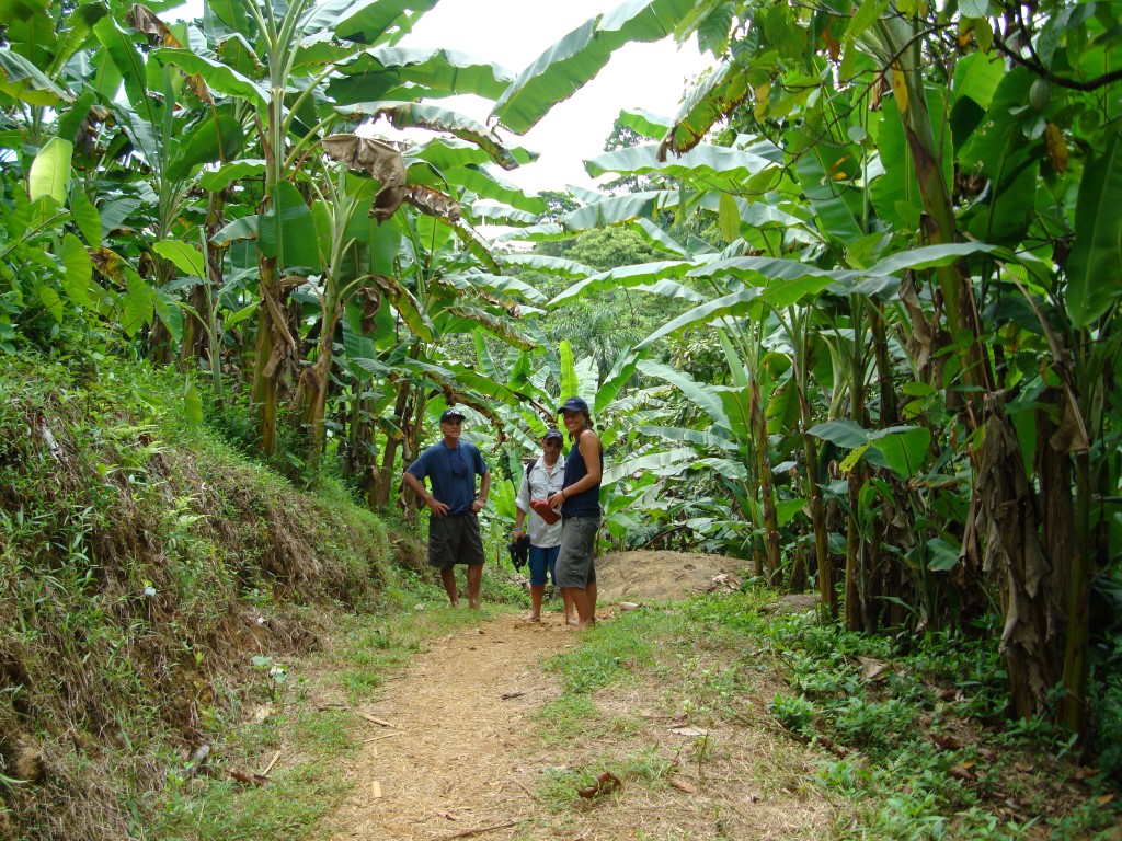 Wandern - Trekking - Natur - Bocas del Toro